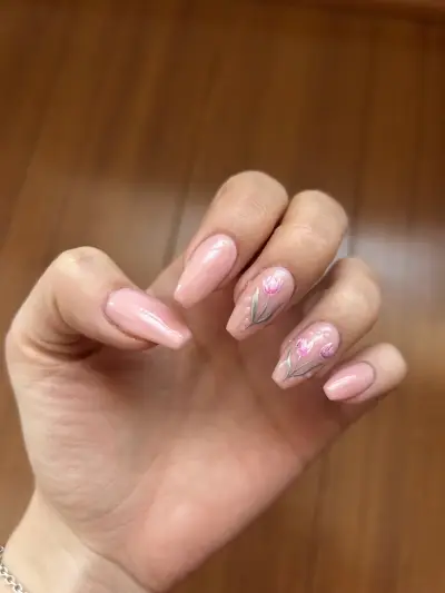 Studio Claws