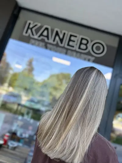 STUDIO KANEBO