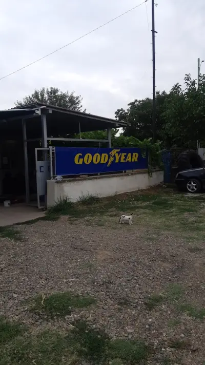 Сервиз Гуми