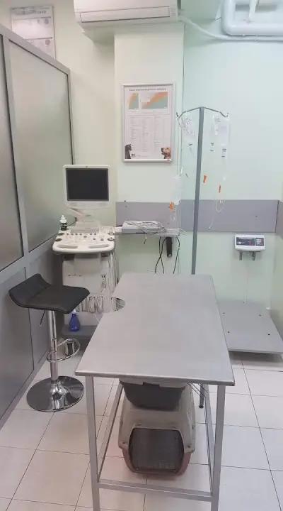 ZooVet Ветеринарно Лечебно Заведение