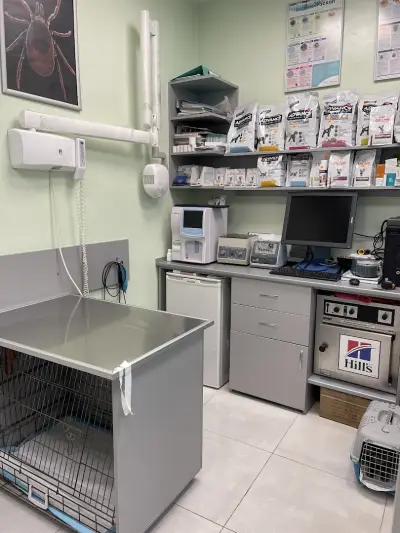 ZooVet Ветеринарно Лечебно Заведение