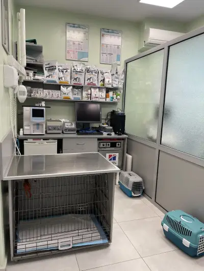 ZooVet Ветеринарно Лечебно Заведение