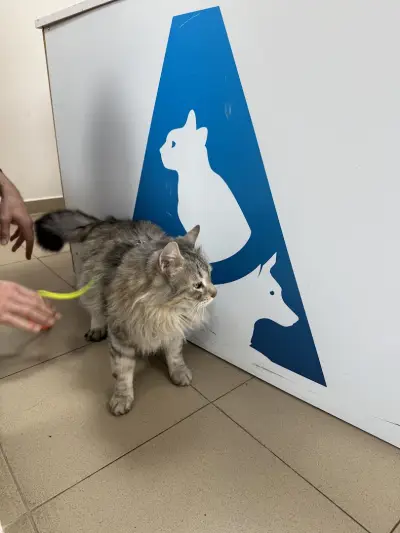 Ветеринарна Клиника Адра