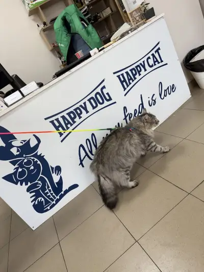 Ветеринарна Клиника Адра