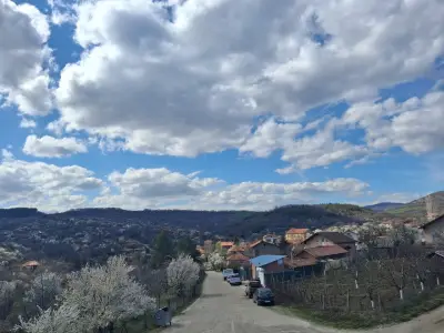 ЖЕЛЕЗАРИЯ