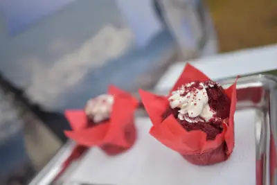 VSF Gelateria