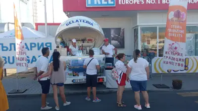 VSF Gelateria