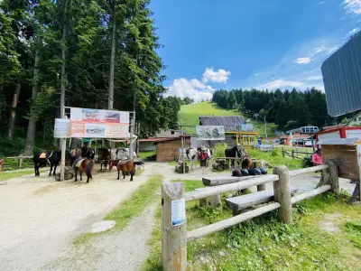Ездитен клуб и Конна База Конярски / Horse Riding Koniarski