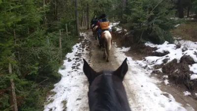 Ездитен клуб и Конна База Конярски / Horse Riding Koniarski