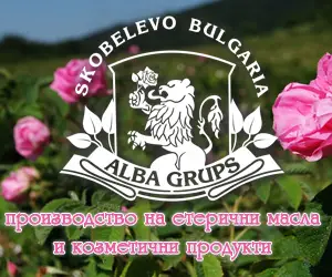Alba Grups Ltd