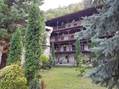 Рибена - ООД с. Златна Панега