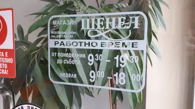 Шенел