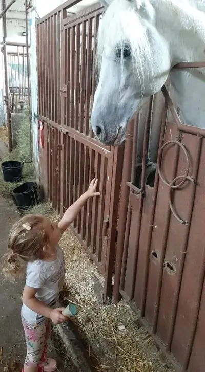 Клуб по конна езда EzdaSofia