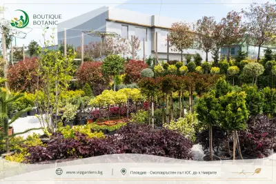 Boutique Botanic - Бутик Ботаник - Ландшафтно Архитектурен Център