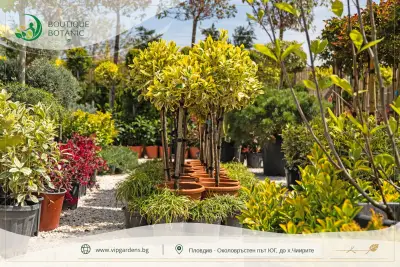 Boutique Botanic - Бутик Ботаник - Ландшафтно Архитектурен Център