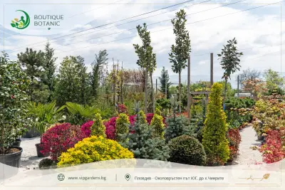 Boutique Botanic - Бутик Ботаник - Ландшафтно Архитектурен Център