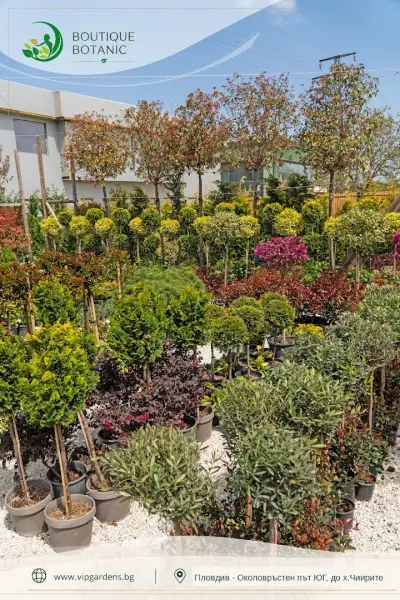 Boutique Botanic - Бутик Ботаник - Ландшафтно Архитектурен Център