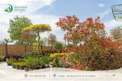 Boutique Botanic - Бутик Ботаник - Ландшафтно Архитектурен Център