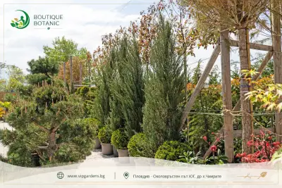 Boutique Botanic - Бутик Ботаник - Ландшафтно Архитектурен Център
