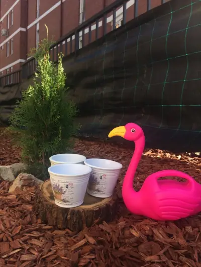Обучителен център ''Pieaneta Bambino''