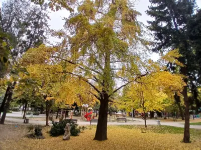 Градската градина