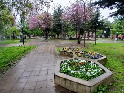 Градската градина