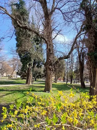 Градската градина