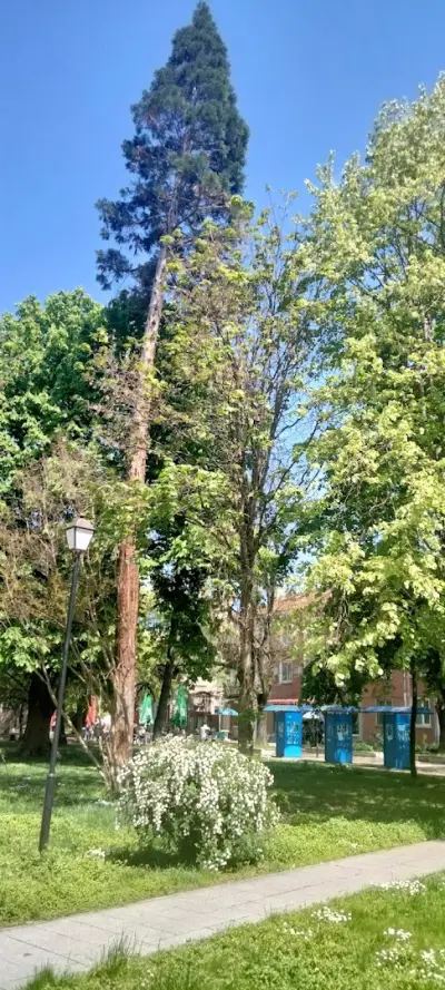 Градската градина