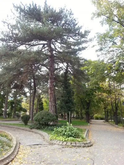 Градска градина