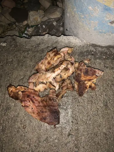 Нашенска скара Разбойна