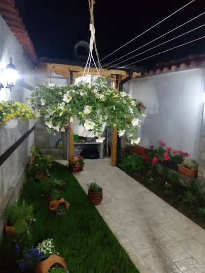 Rose valley guest house
