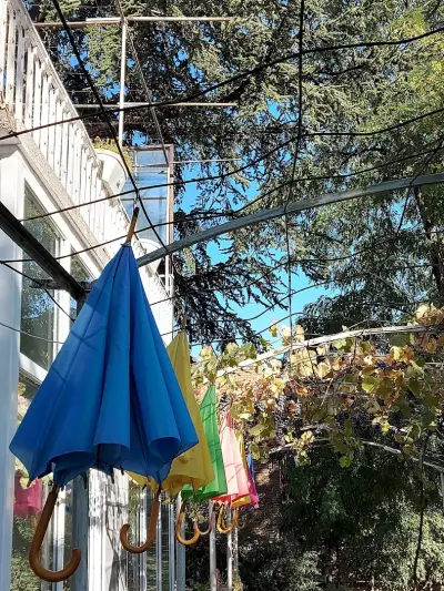 Сдружение "Бъдеще за децата"