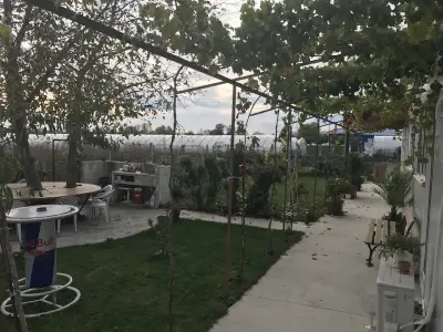 АМАТА ООД