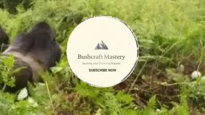 Tsanev Bushcraft