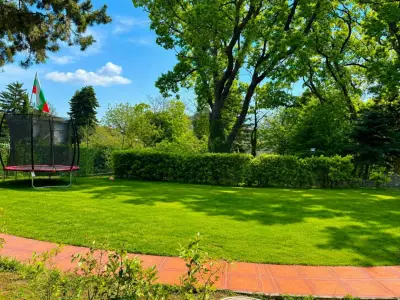 Green Land events