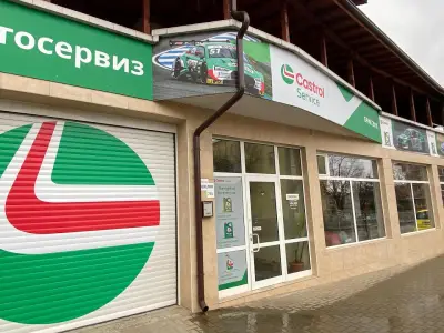 БРИК 2010
