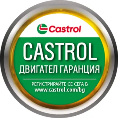 БРИК 2010