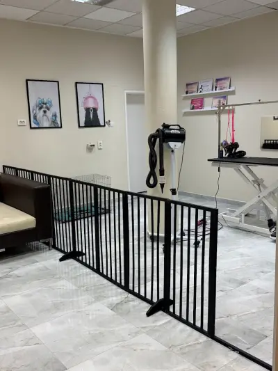 Груминг Студио Happy Dog