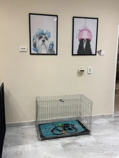 Груминг Студио Happy Dog