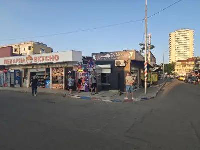 Royal Scissors - Палма