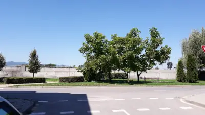 Липата ЕООД
