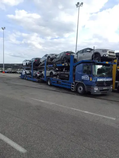 VANEX Logistics®
