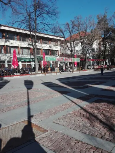 Чепино автотранспорт ЕООД