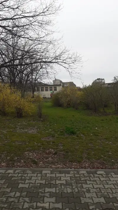 ОУ "Чудомир"