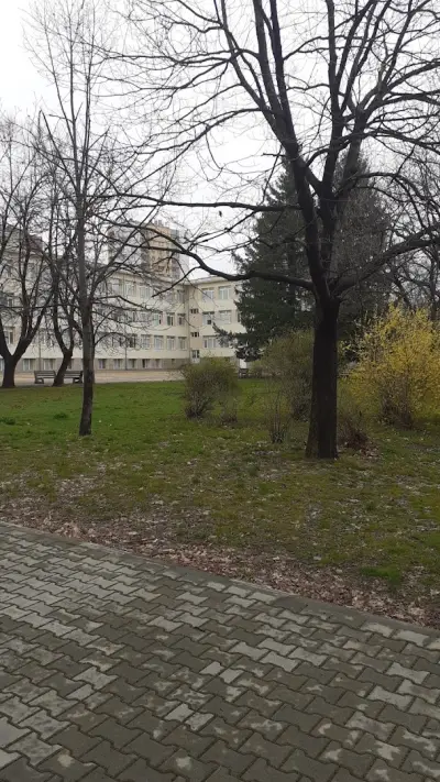 ОУ "Чудомир"