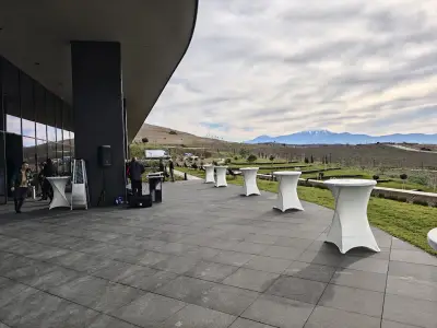AYA Estate Vineyards