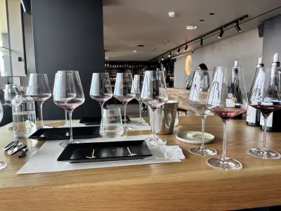 AYA Estate Vineyards