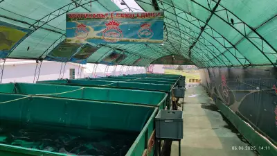 Рибовъдно стопанство „Шестица“
