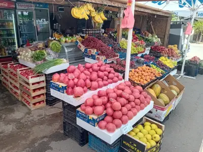 Плод и зеленчук “При Миро”