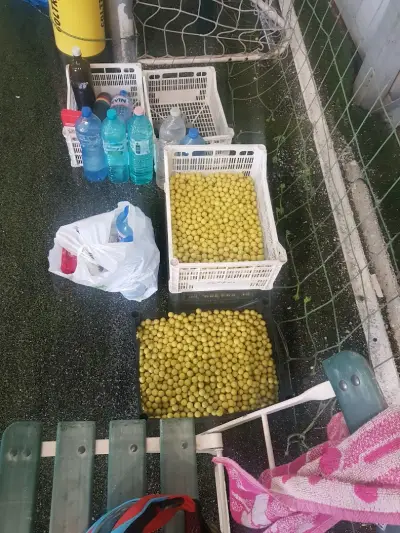Пейнтбол България